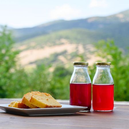 Kalavrita Botanica Hotel & Spa Dış mekan fotoğraf