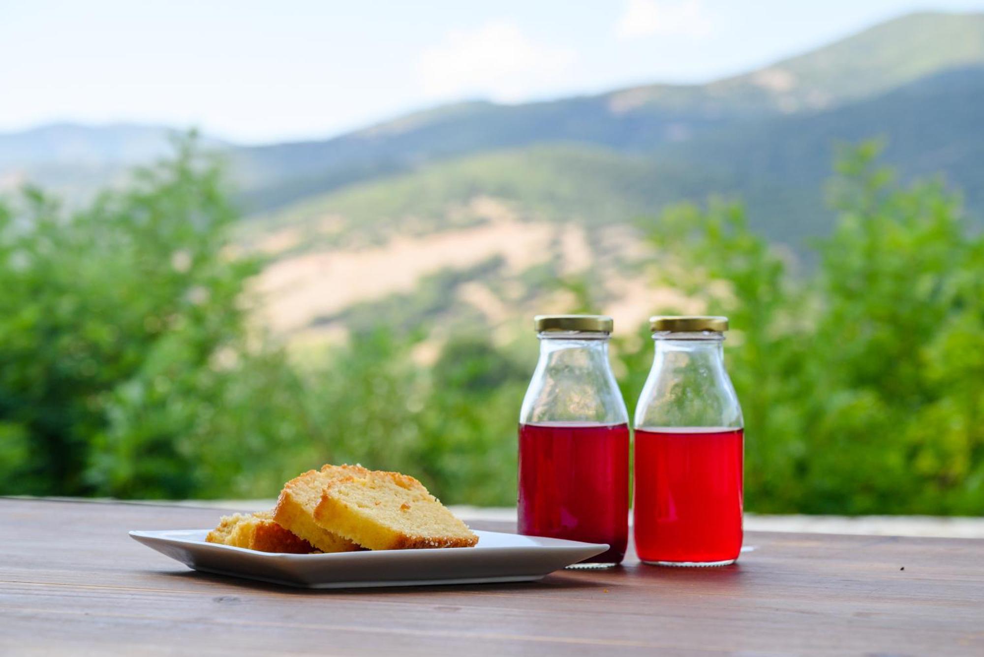 Kalavrita Botanica Hotel & Spa Dış mekan fotoğraf